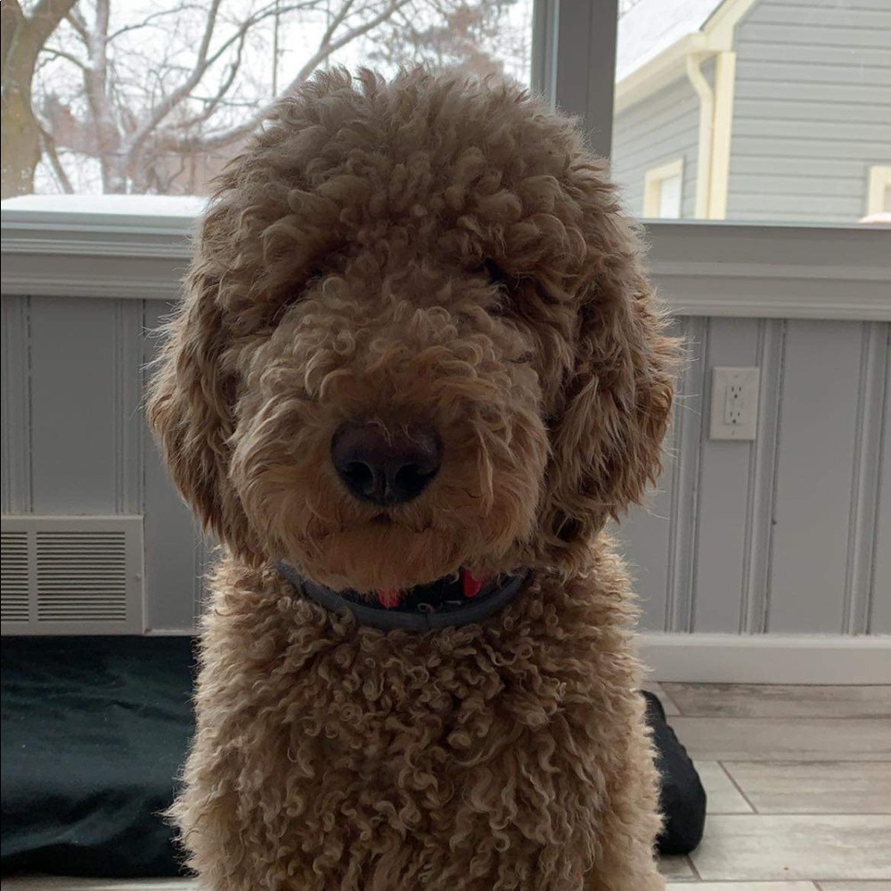 Meet your Posher, Kc